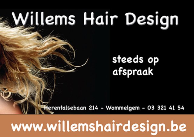 Willens hair design 